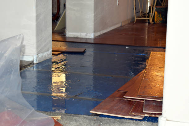 Professional Flood Damage Restoration technician working in Poth, TX